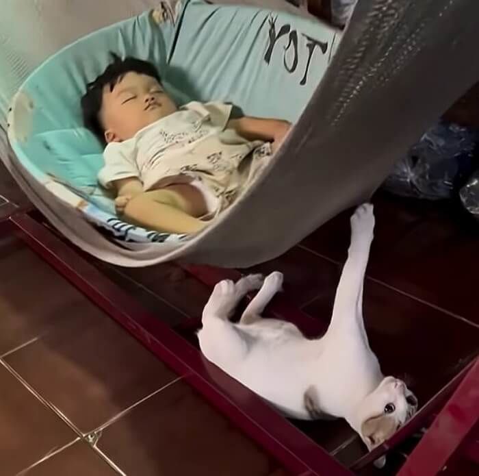 애니멀플래닛