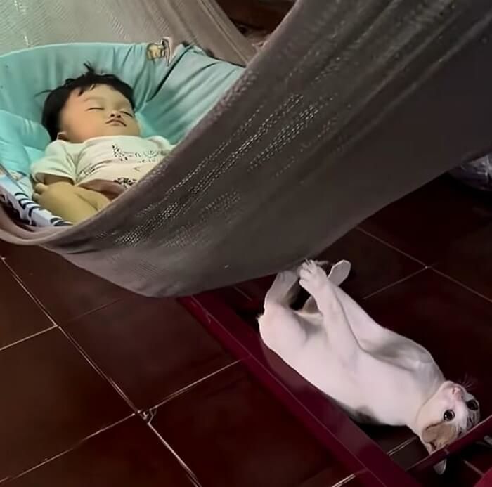 애니멀플래닛