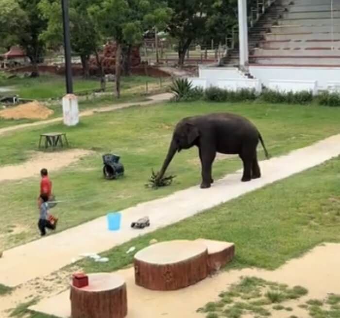 애니멀플래닛