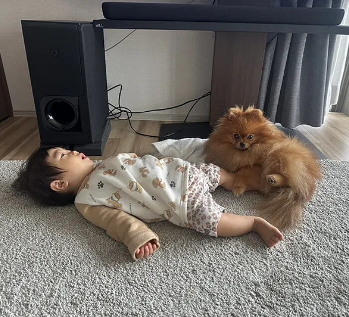 애니멀플래닛