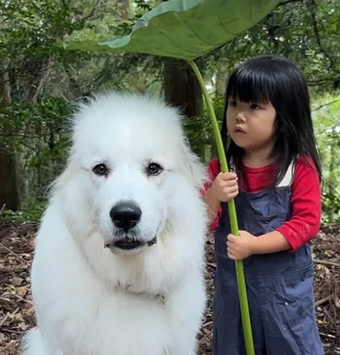 애니멀플래닛