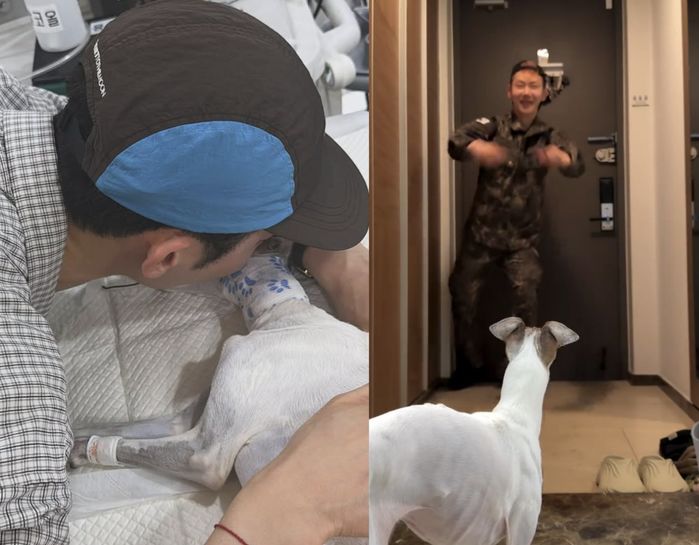 애니멀플래닛