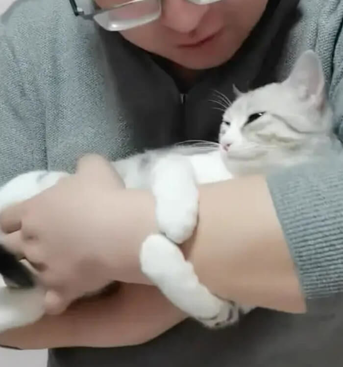 애니멀플래닛