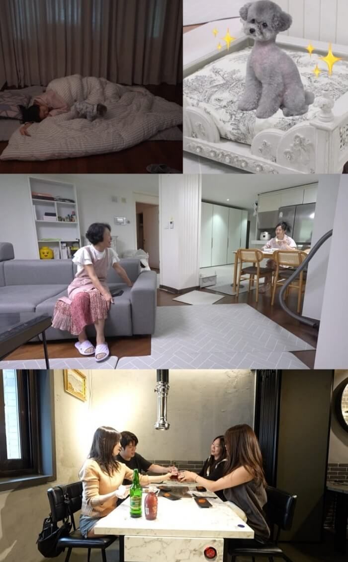 애니멀플래닛