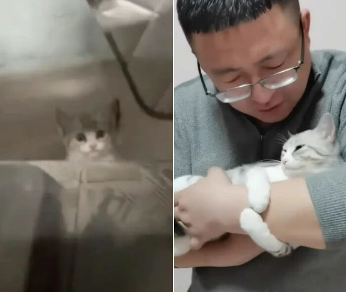 애니멀플래닛