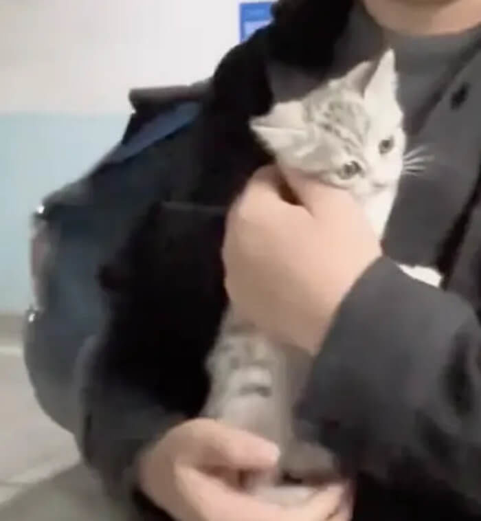 애니멀플래닛
