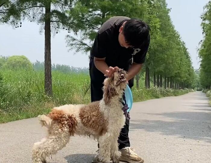애니멀플래닛
