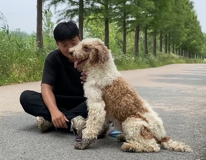 애니멀플래닛