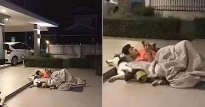 애니멀플래닛