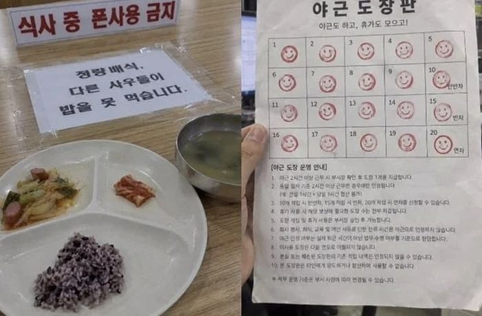 애니멀플래닛
