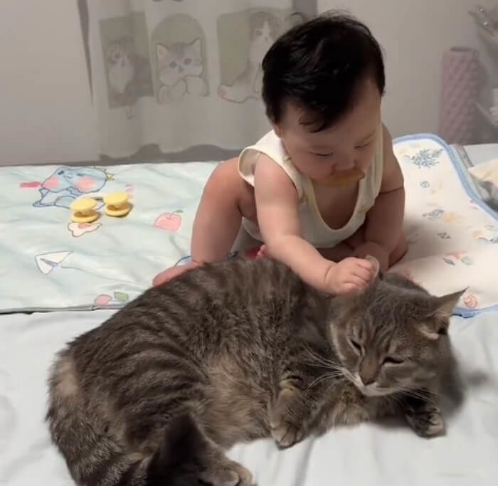 애니멀플래닛