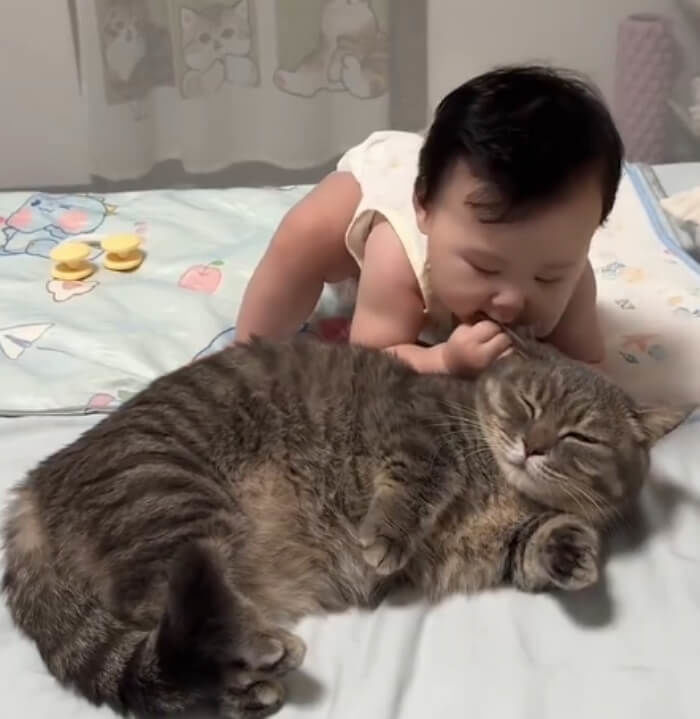 애니멀플래닛
