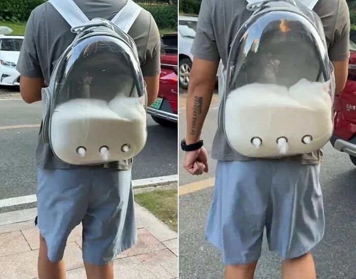 애니멀플래닛