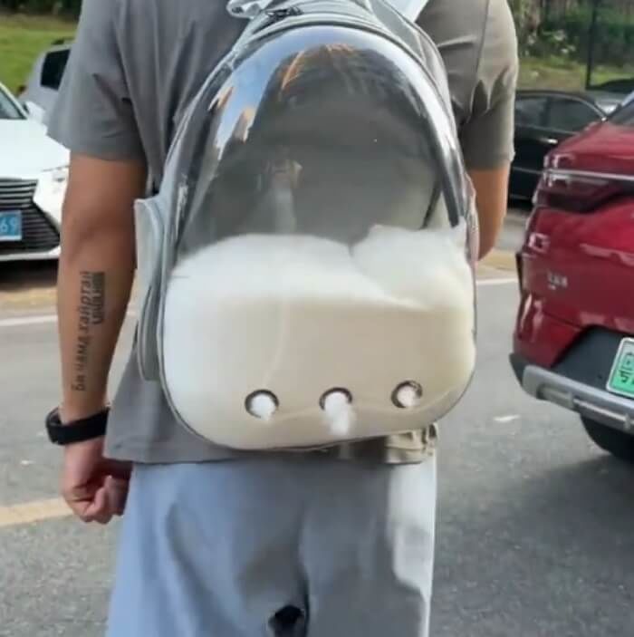애니멀플래닛