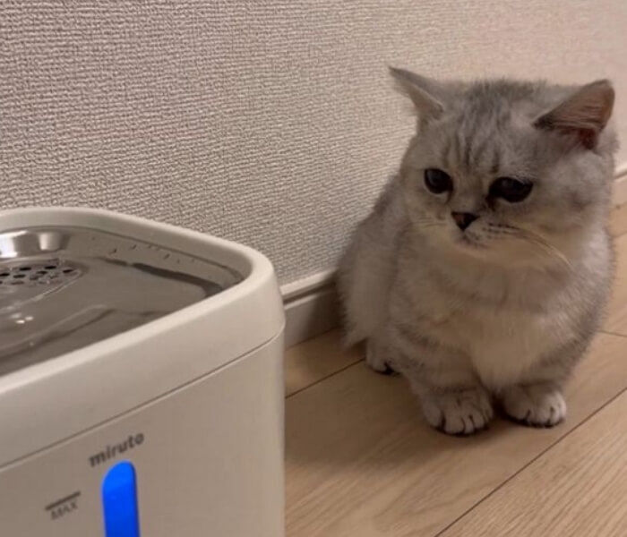 애니멀플래닛