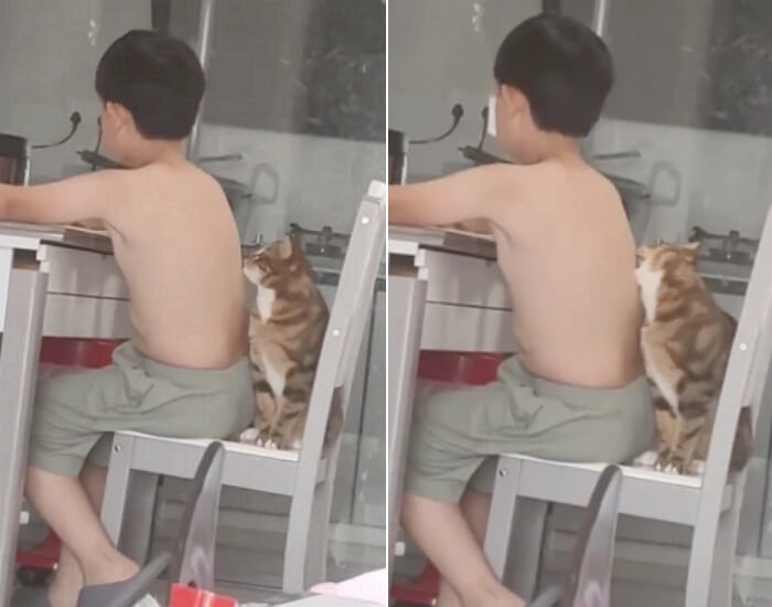 애니멀플래닛