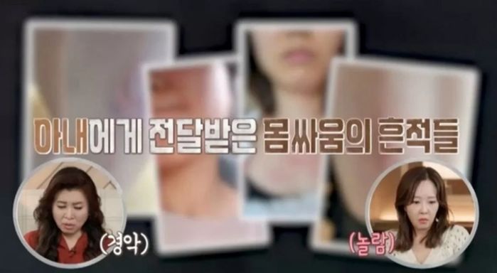 애니멀플래닛