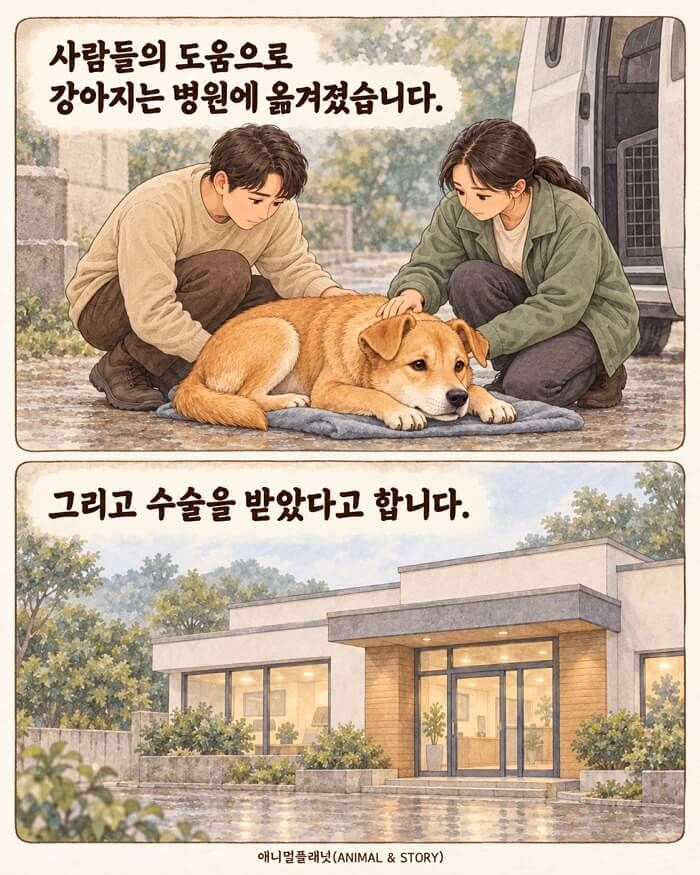 애니멀플래닛