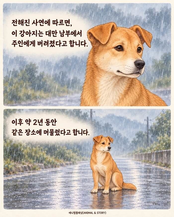 애니멀플래닛