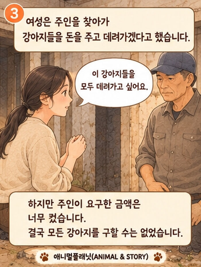 애니멀플래닛