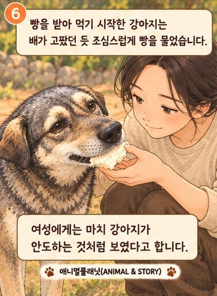 애니멀플래닛