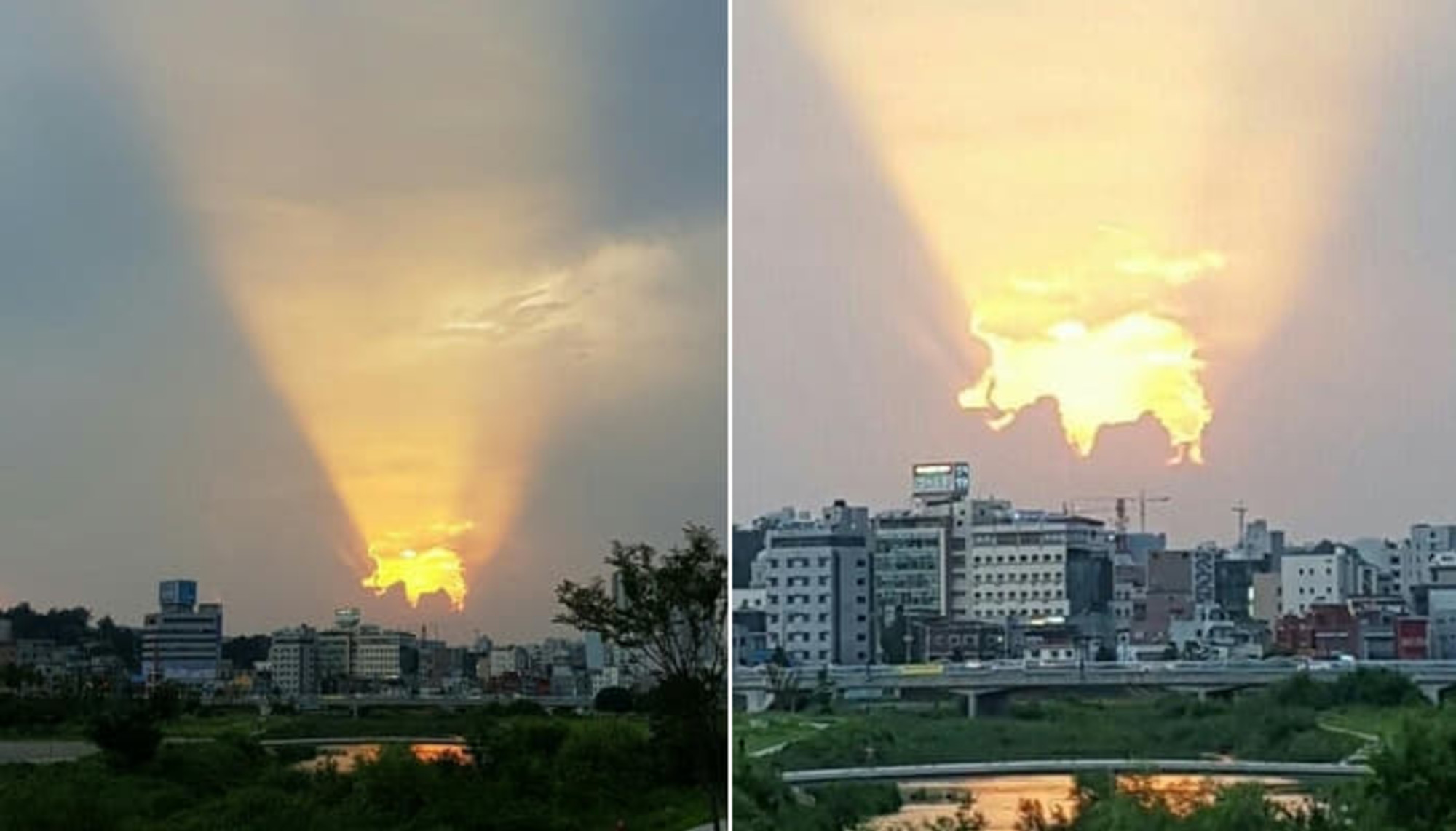 우연히 하늘을 올려봤다가 행운을 불러준다는 골드피그 구름을 발견했습니다
