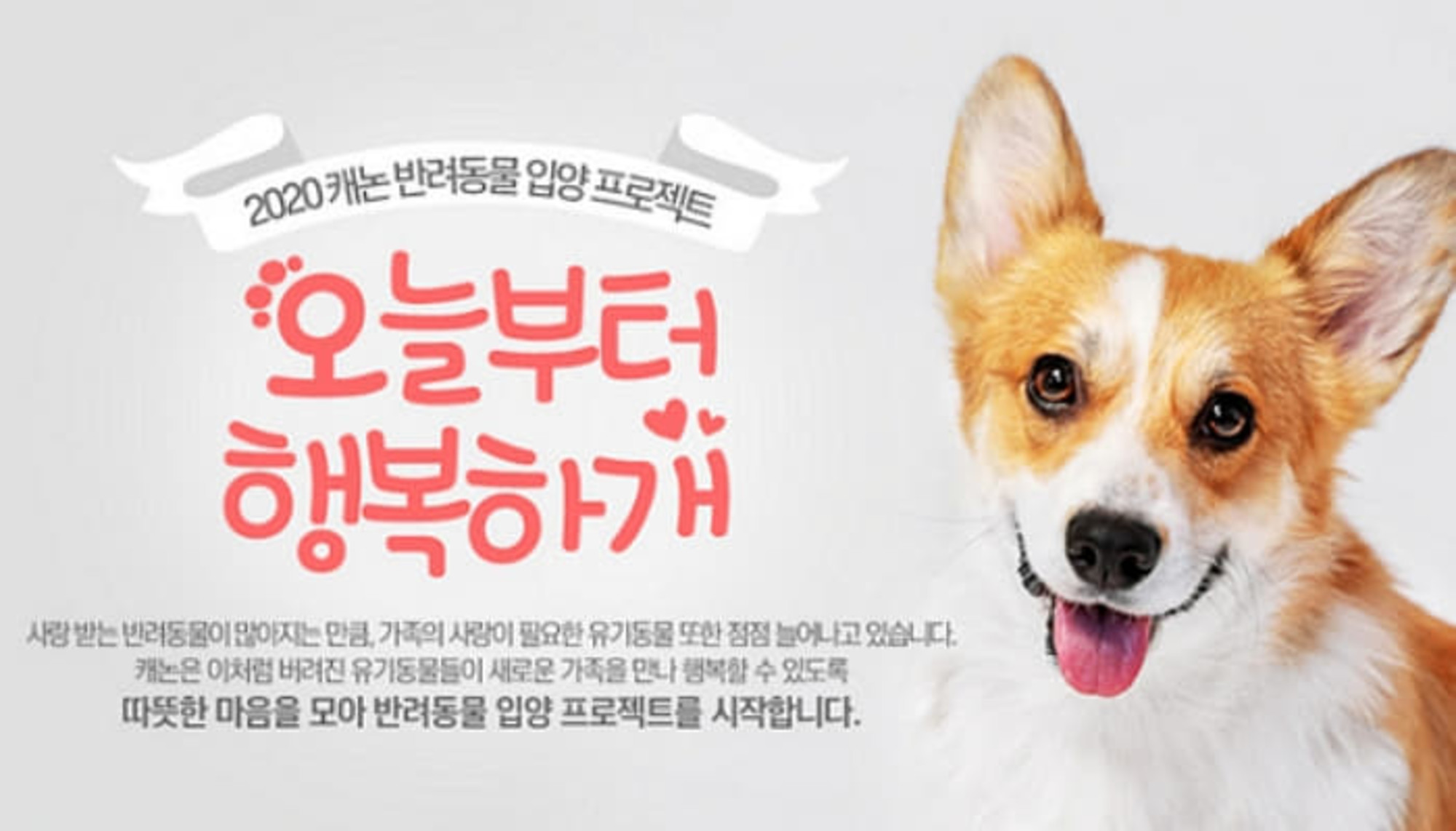 캐논, 유기견 보호센터와 함께하는 입양 프로젝트 캠페인 오늘부터 행복하개 실시