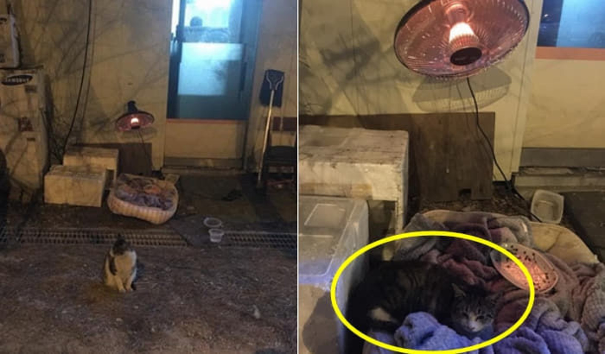 寒い冬が近づくと野良猫暖かくしてあげようと壁に電気ストーブを打ってしまった社長