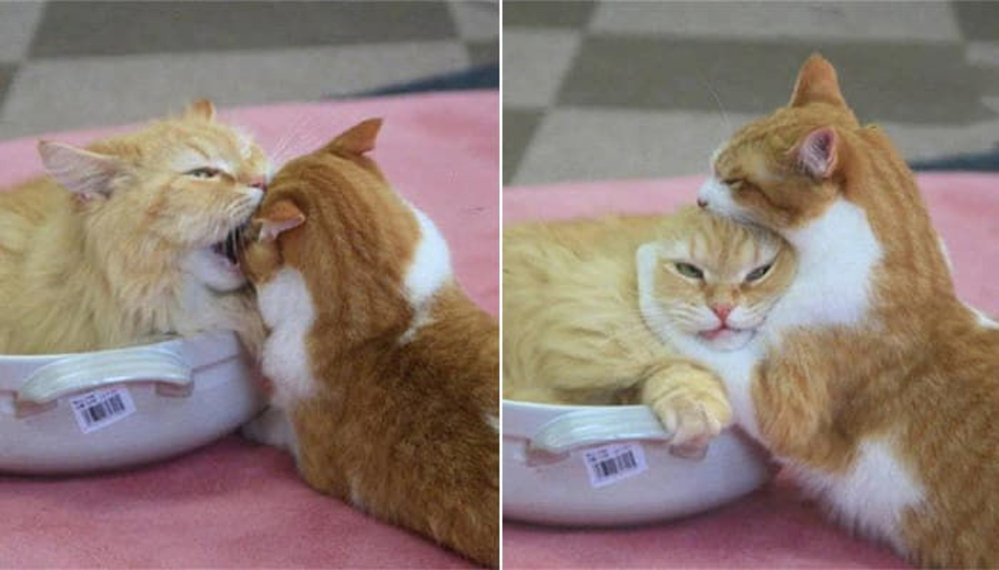 여자의 마음은 이렇게 풀어주는 거야