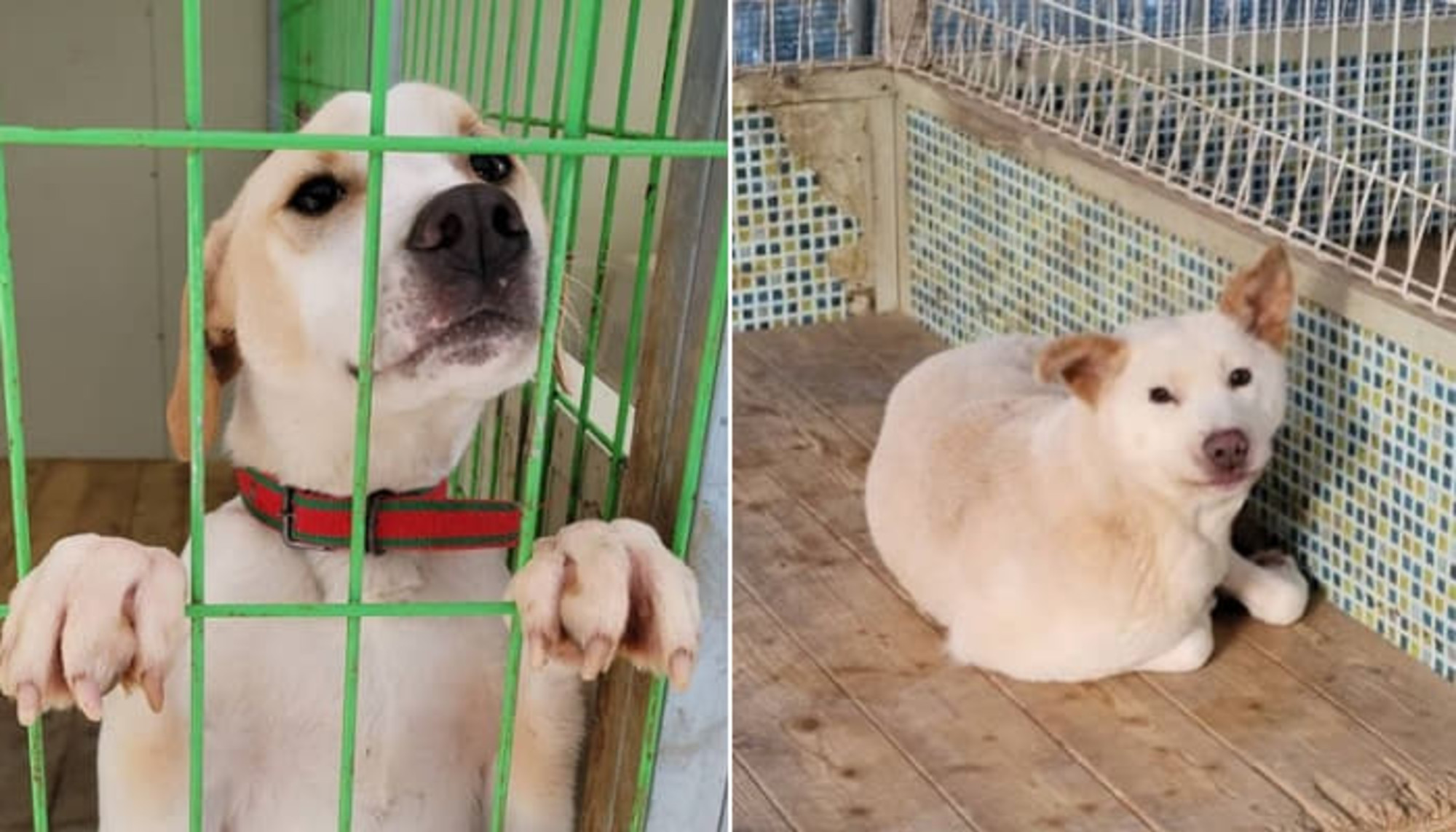 달라지는 건 아무것도 없었다…결국 이사 준비하기로 결정한 김포 아지네 마을