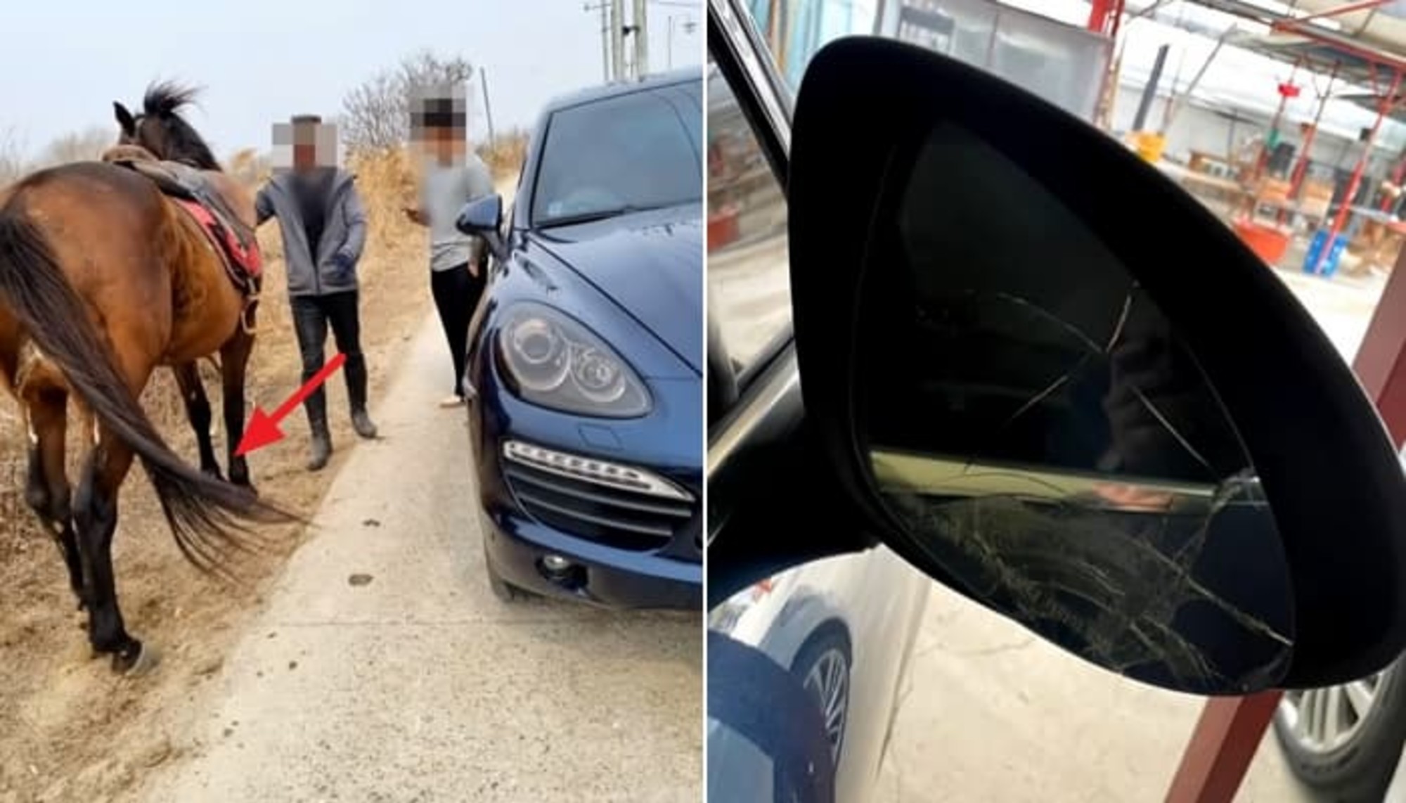 길 지나가던 말 꼬리 한방에 퍽 파손된 포르쉐 사이드미러…혹시 보상 받을 수 있나요?