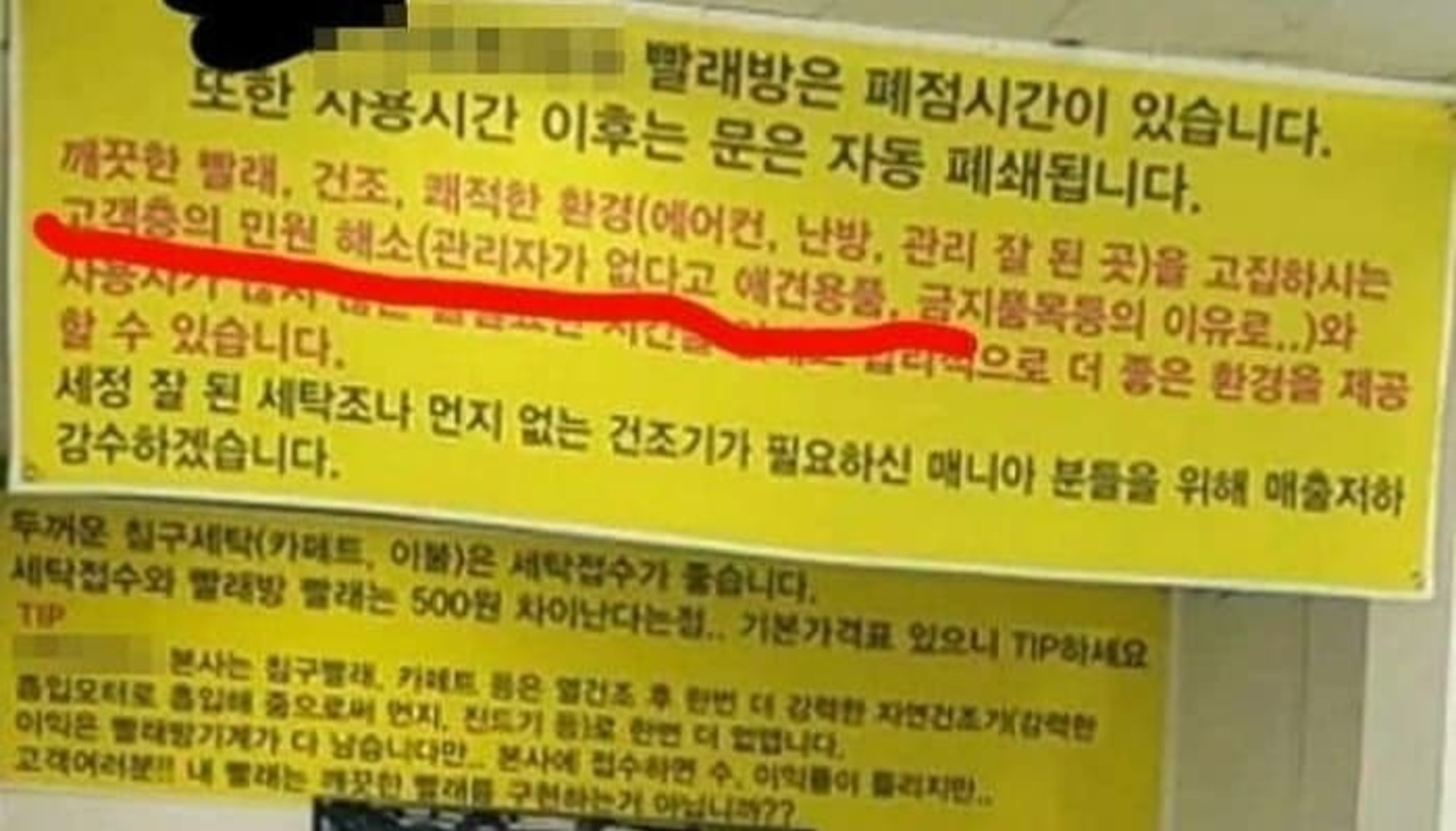 고양이 빨래 금지