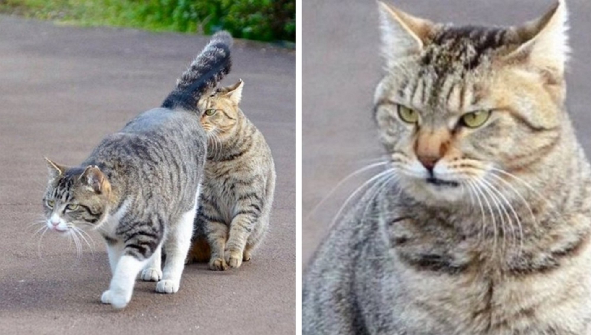 이 놈은 찐이다